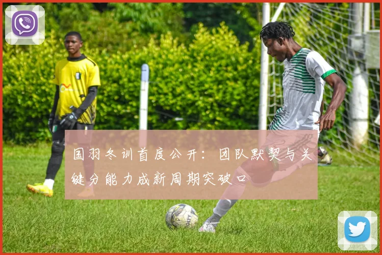 国羽冬训首度公开：团队默契与关键分能力成新周期突破口