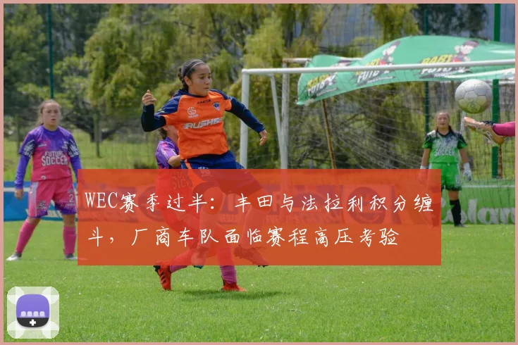 WEC赛季过半：丰田与法拉利积分缠斗，厂商车队面临赛程高压考验